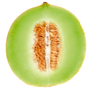 Melon PNG-14376